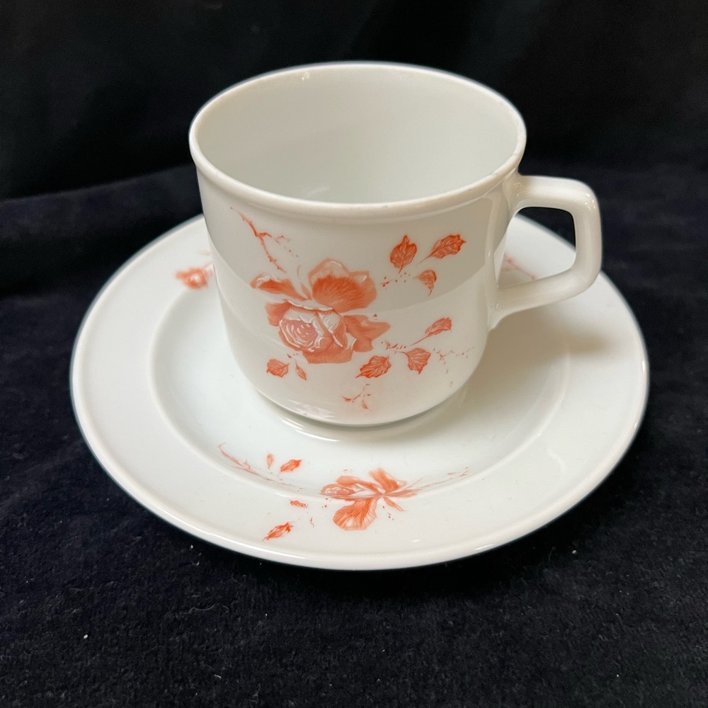 AK Kaiser Porcelain Cup and Saucer. West Germany. Pink Roses.